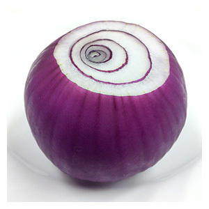 赤玉葱 天地カット